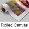 Rolled Canvas Print