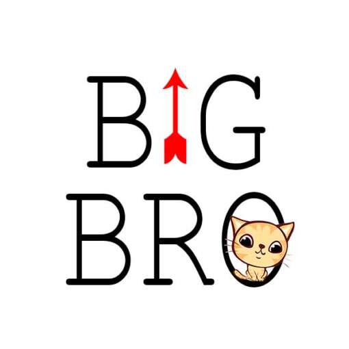 Personalized t-shirt white for Children Best Brother/Sister - Image 2